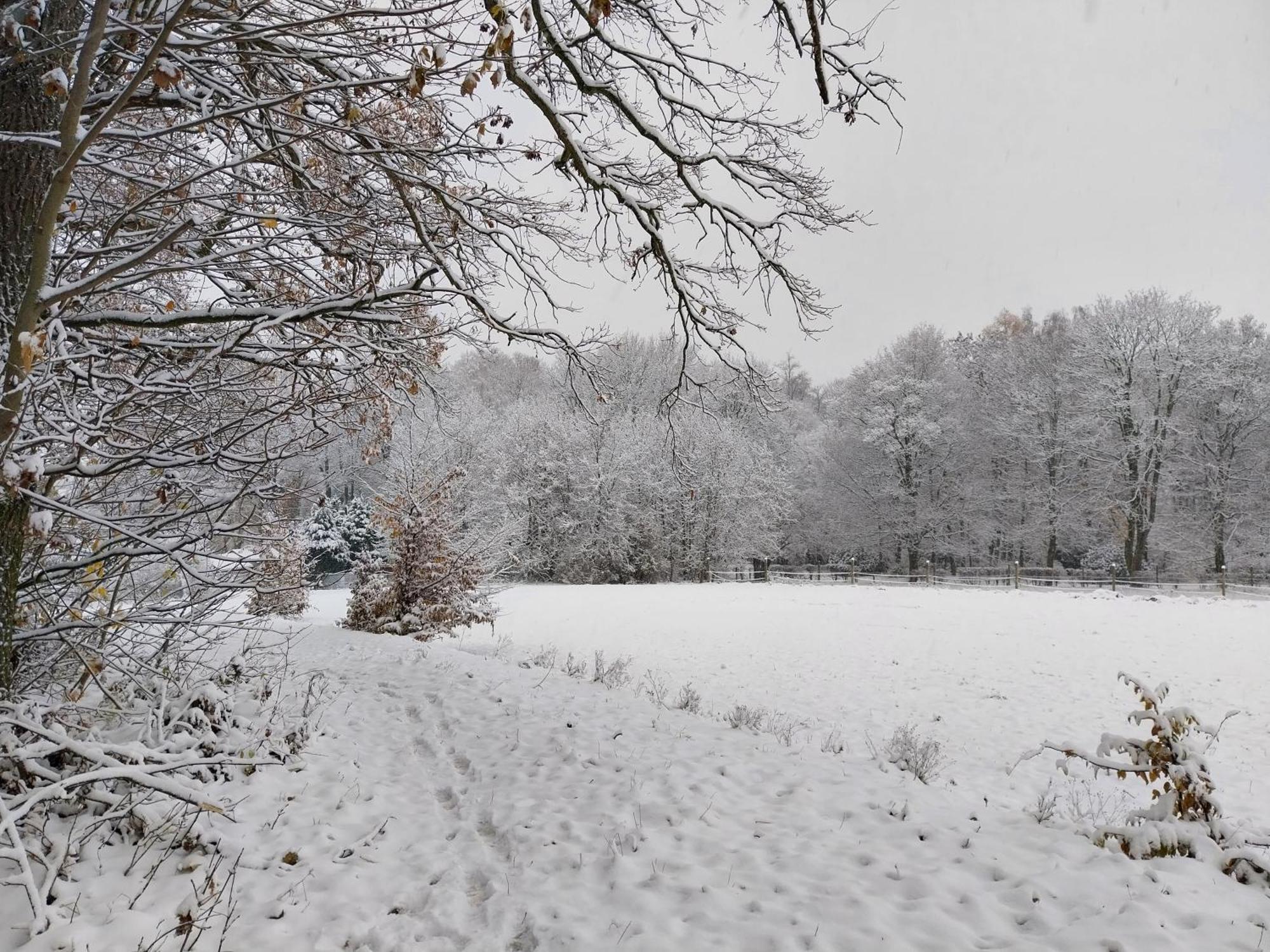 Landhotel Waldschloesschen Mit Gaststube Sohland an der Spree 외부 사진